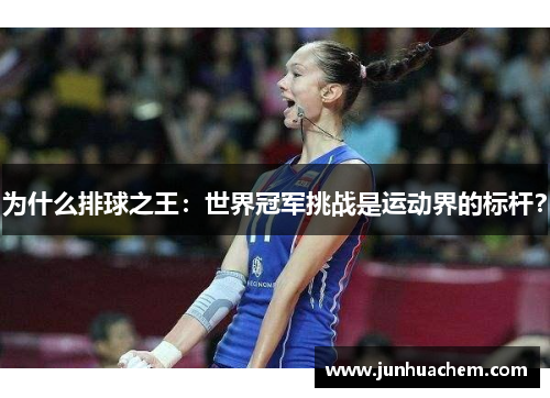 为什么排球之王：世界冠军挑战是运动界的标杆？